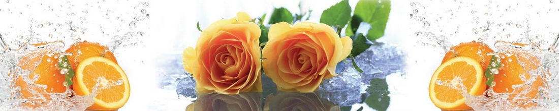 skinali 0549